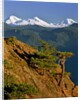 Three Sisters Mountains by Anonymous