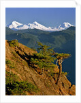 Three Sisters Mountains by Anonymous