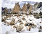 Smith Rock, Oregon by Anonymous