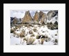 Smith Rock, Oregon by Anonymous