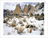 Smith Rock, Oregon by Anonymous