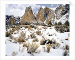 Smith Rock, Oregon by Anonymous