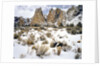 Smith Rock, Oregon by Anonymous