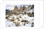 Smith Rock, Oregon by Anonymous
