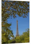 Eiffel Tower view from Champ de Mars by Anonymous