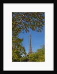 Eiffel Tower view from Champ de Mars by Anonymous