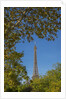 Eiffel Tower view from Champ de Mars by Anonymous