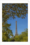 Eiffel Tower view from Champ de Mars by Anonymous