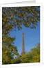 Eiffel Tower view from Champ de Mars by Anonymous