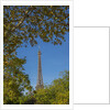 Eiffel Tower view from Champ de Mars by Anonymous