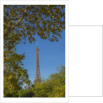 Eiffel Tower view from Champ de Mars by Anonymous