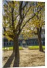 Place des Vosges by Corbis