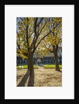 Place des Vosges by Corbis