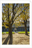 Place des Vosges by Corbis