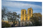 Notre Dame Cathedral by Anonymous
