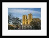 Notre Dame Cathedral by Anonymous