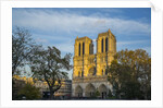 Notre Dame Cathedral by Anonymous