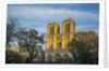 Notre Dame Cathedral by Anonymous