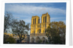 Notre Dame Cathedral by Anonymous