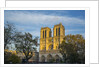 Notre Dame Cathedral by Anonymous