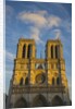 Notre Dame Cathedral by Anonymous