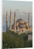 Sultan Ahmet camii, the Blue Mosque by Anonymous