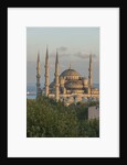 Sultan Ahmet camii, the Blue Mosque by Anonymous