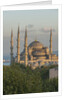 Sultan Ahmet camii, the Blue Mosque by Anonymous