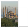 Sultan Ahmet camii, the Blue Mosque by Anonymous