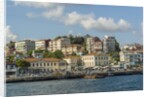 Beautiful houses along Bosporus by Anonymous