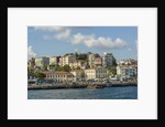 Beautiful houses along Bosporus by Anonymous