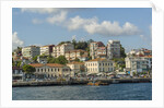 Beautiful houses along Bosporus by Anonymous