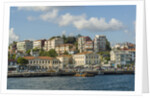 Beautiful houses along Bosporus by Anonymous