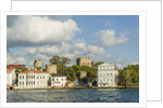 Beautiful houses along Bosporus by Anonymous