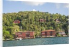 Beautiful houses along Bosporus by Anonymous