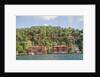 Beautiful houses along Bosporus by Anonymous