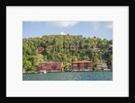 Beautiful houses along Bosporus by Anonymous