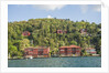 Beautiful houses along Bosporus by Anonymous