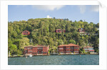 Beautiful houses along Bosporus by Anonymous