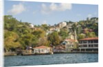 Beautiful houses along Bosporus by Anonymous