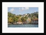 Beautiful houses along Bosporus by Anonymous