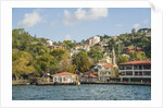 Beautiful houses along Bosporus by Anonymous