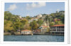 Beautiful houses along Bosporus by Anonymous