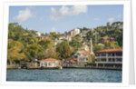 Beautiful houses along Bosporus by Anonymous