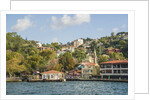 Beautiful houses along Bosporus by Anonymous