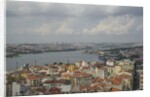 Panoramic view from Galata Tower by Anonymous