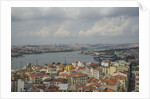 Panoramic view from Galata Tower by Anonymous