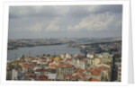Panoramic view from Galata Tower by Anonymous