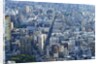 Manhattan skyline from above, New York City by Anonymous