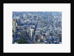 Manhattan skyline from above, New York City by Anonymous